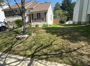 Leaf Removal by Walter Γlvarez for Hasina M. in Milford Mill, MD