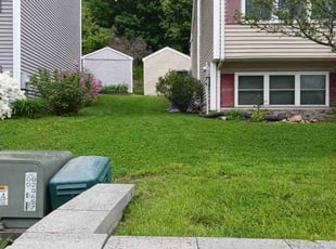 Rhonda S.'s Yard Cutting service result