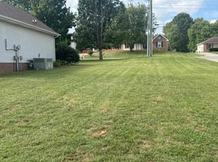 Jerrie M.'s Lawn Maintenance service result