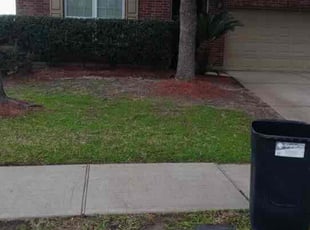 Leaf Removal by Ana Zelaya for Reginald S. in Richmond, TX
