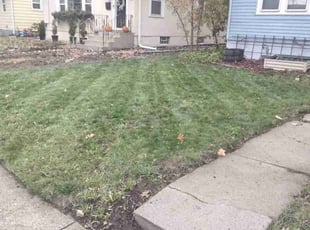 Cleanups by Tim Martin for Matthew H. in Minneapolis, MN