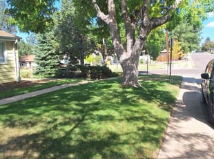 Brittany S.'s Lawn Care service result