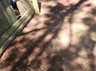 Leaf Removal by James Crunk for Shermonica P. in Memphis, TN