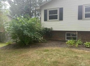 Joe S.'s Flower Bed Weeding service result