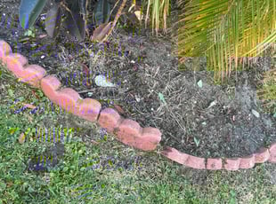 Weeding by Shaun Waters for Nana H. in Ponte Vedra Beach, FL