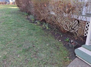 Leaf Removal by Charles Metzger for Brenda T. in Midlothian, VA