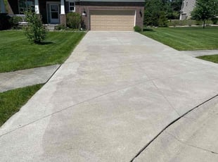 Lelenya K.'s Lawn Care service result