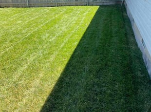 Emmett W.'s Lawn Mowing Service service result