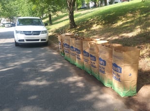 Leaf Removal by Isaiah Cuthbertson for Annette W. in Charlotte, NC