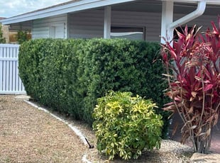 Landscaping by Johnny Torres for Lee C. in Sun City Center, FL