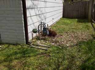 Bush Trimming by Adam Herridge for Geneva Y. in Wichita, KS