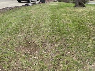 Cleanups by Chai Vue for Michael W. in Canton, OH
