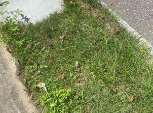 Cleanups by John Brand for Ken L. in Lake Grove, NY