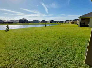Maria R.'s Lawn Mowing service result