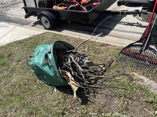 Cleanups by Bradford Charles for Michael R. in Palatine, IL
