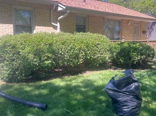 Bush Trimming by Xavier Thomas for Lucky C. in Milwaukee, WI