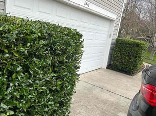 Bush Trimming by Jeff Foster for Cortney B. in Charlotte, NC
