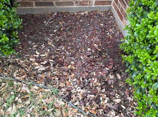 Weeding by Logan Holzmeier for Jim C. in Cleburne, TX