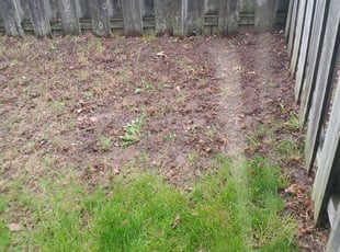 Cleanups by David Johnson for Kristen B. in Springfield, MO