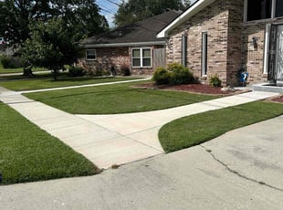 Michael S.'s Lawn Care service result