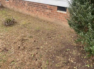 Weeding by Duff Resources for Pamela M. in Midlothian, VA
