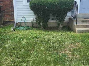 Bush Trimming by Gustavo Martinez for Michele G. in Dumfries, VA