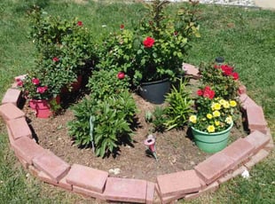 Weeding by Chris .... for Lipe S. in Aurora, CO