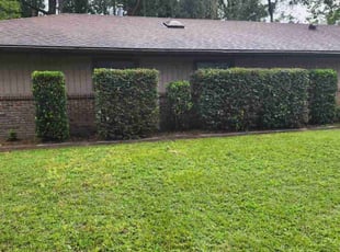 Bush Trimming by Christopher Harper for Ricky N. in Gainesville, FL
