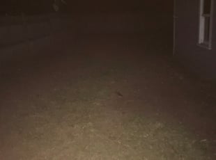 Cleanups by Arisbet Cardoza for Adrian B. in Grand Rapids, MI