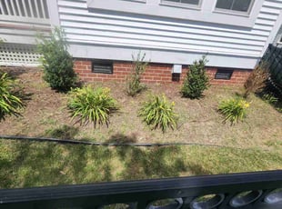 Weeding by Carl Stephans for Samantha R. in Norfolk, VA