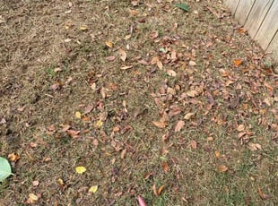 Cleanups by Charles Townsend for Ann E. in Rogers, AR