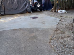 Leaf Removal by Jose Paz for Christina C. in Washington, DC