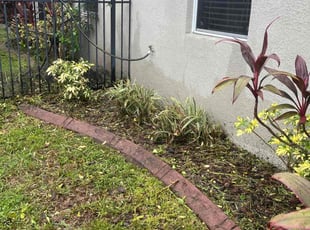Michelle P.'s Flower Bed Weeding service result