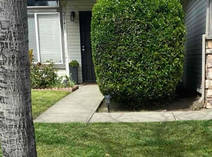 Bush Trimming by Michael Ruiloba for Nicole d. in Stockton, CA