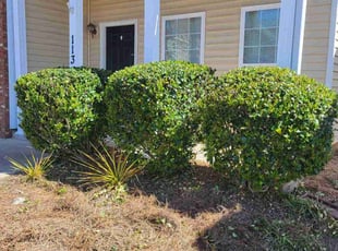 Bush Trimming by Michael Peters for Kellesha R. in Canton, GA