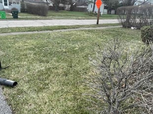 Bush Trimming by Juan Reynoso for Michael S. in Euclid, OH