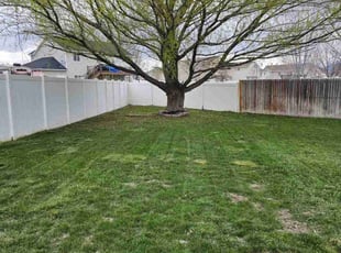 Cleanups by Nicholas Grisaffe for Robert H. in Roy, UT
