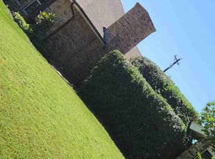 Bush Trimming by Manuel Solis Soto for Joseph R. in Carrollton, TX
