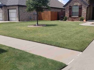 Sonya G.'s Lawn Mowing Service service result