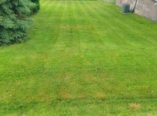 Philip D.'s Lawn Mowing Service service result