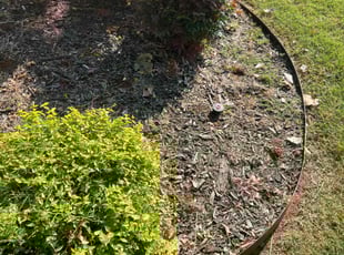 Weeding by Jeff Lipscomb for Lindsey M. in Edmond, OK