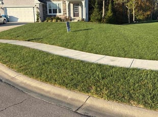 Jennifer P.'s Lawn Service service result
