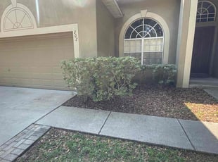Bush Trimming by Ramon Taguja for Jai T. in Brandon, FL