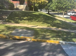 Juanita T.'s Lawn Mowing Service service result