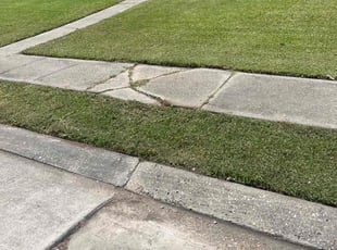 Lauren C.'s Lawn Service service result