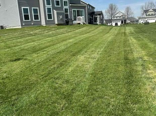 Leaf Removal by Leonardo Feliciano for Lisa O. in Delaware, OH