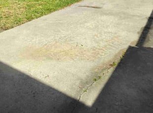 Weeding by Stephen Peffly for Jessica B. in Saint Petersburg, FL