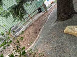 Leaf Removal by Brenna Rivera for Kathryn M. in Golden, CO