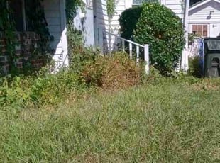 Bush Trimming by Sean Saulsby for Ashley R. in Norfolk, VA