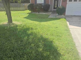 Bush Trimming by John Williams for Jessica H. in Charlotte, NC